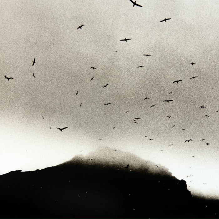 Kris Drever: If Wishes Were Horses